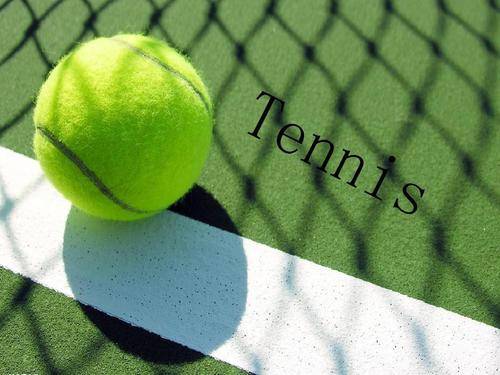 新规的逐步 新规的逐步