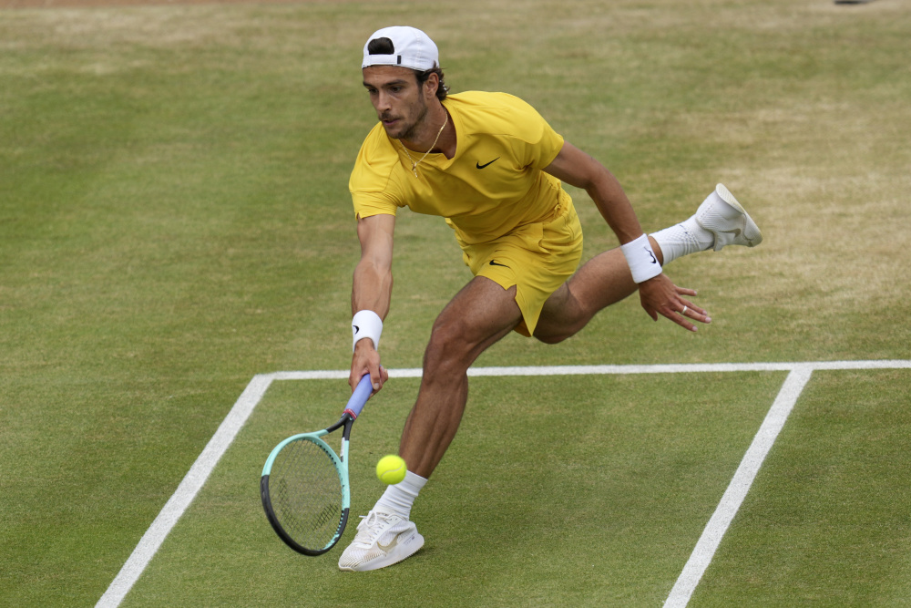 森林狼团队 森林狼团队