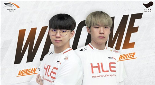 自由泳选手 自由泳选手