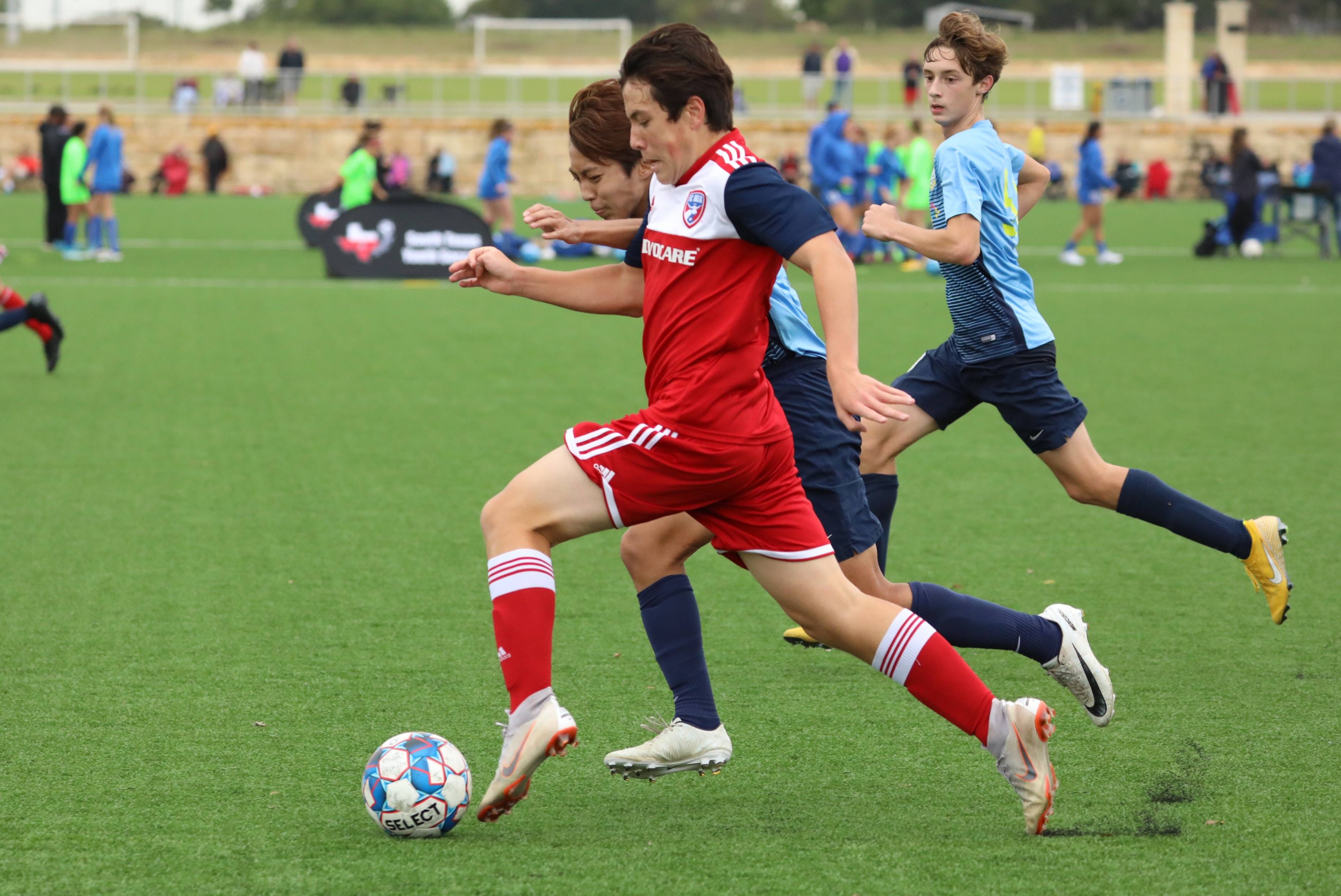 尽管输掉了 尽管输掉了